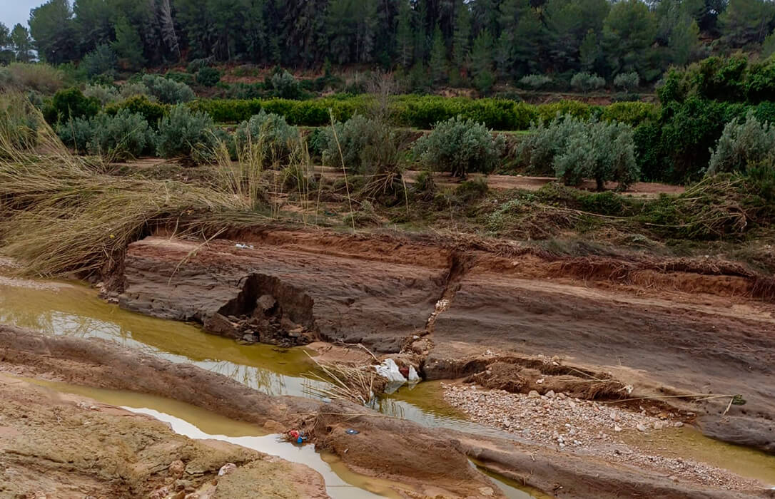 Los agricultores no pueden esperar a las reparaciones de los gobiernos y piden que se les pague el 100% de las que están avanzando ellos