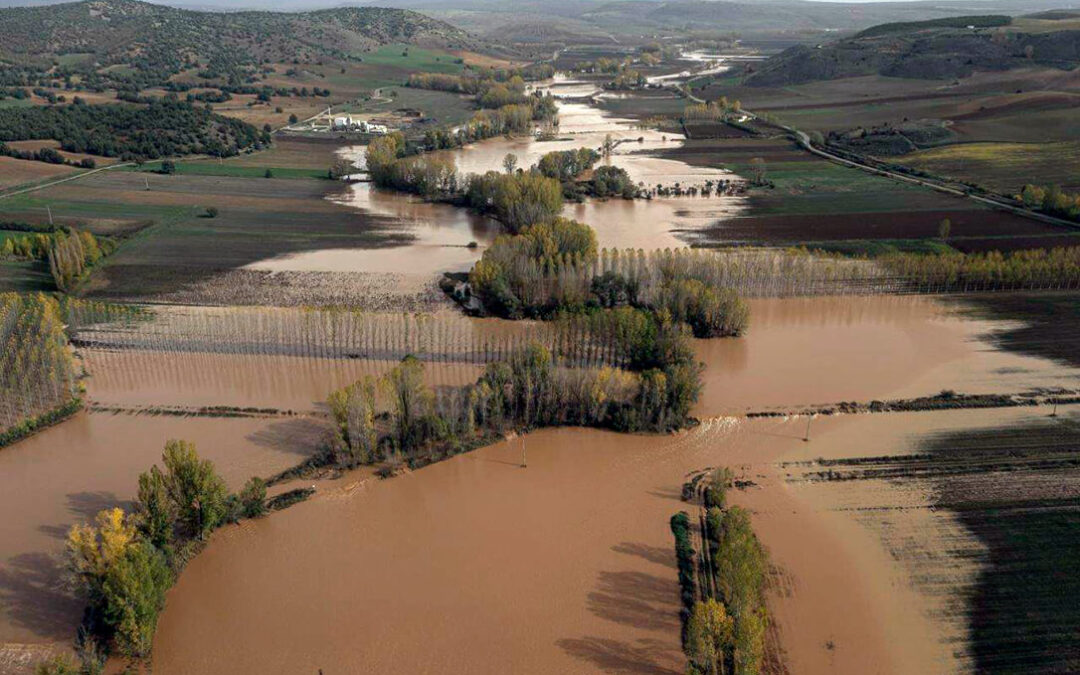 Tras más de 1.000 hectáreas de cultivos, infraestructuras y caminos dañados por la DANA, piden a la CH Tajo limpiar los cauces con urgencia