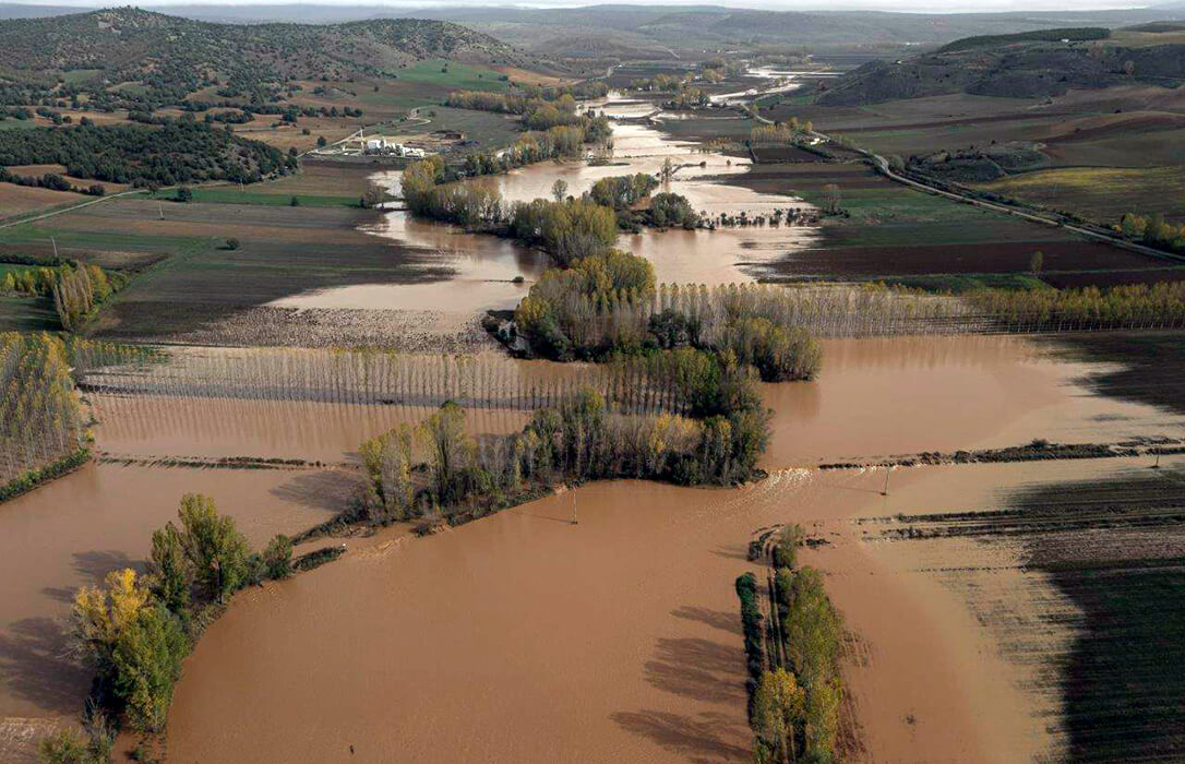 Tras más de 1.000 hectáreas de cultivos, infraestructuras y caminos dañados por la DANA, piden a la CH Tajo limpiar los cauces con urgencia