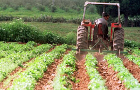 La OCDE avisa de que flexibilidad dada a la PAC le aleja de los objetivos medioambientales al distanciarse del Pacto Verde