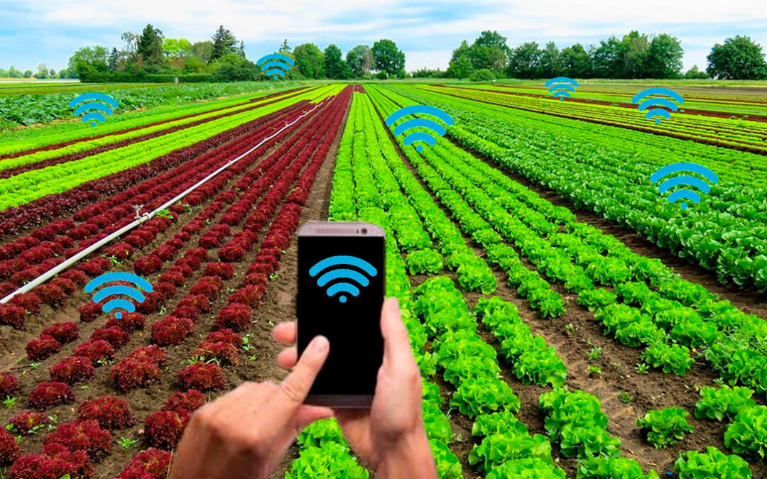 La Junta andaluza participará en un proyecto europeo para aplicar la tecnología de datos al sector agrícola