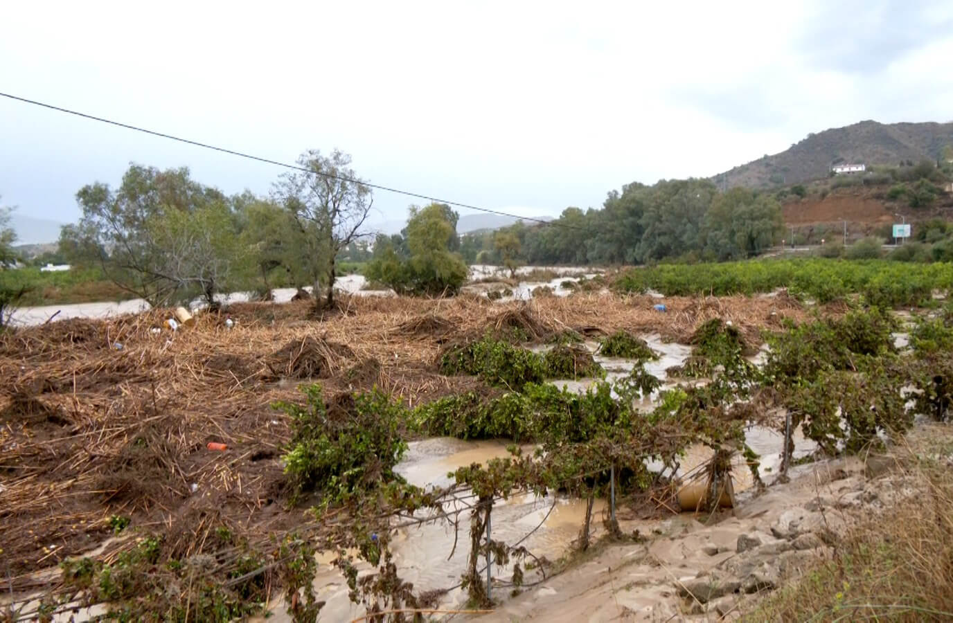 Planas anuncia la entrada en funcionamiento de un teléfono gratuito de información para atender a los agricultores afectados por la DANA