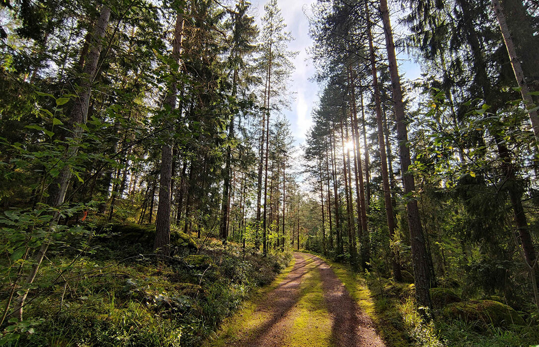 La Fundación COPADE, un vínculo esencial para el desarrollo de soluciones sostenibles en el sector forestal