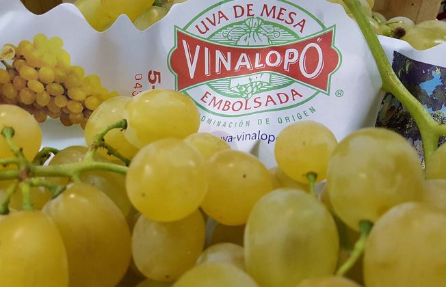 La DOP Uva del Vinalopó finaliza una buena campaña con 33 millones de kg y anuncia el relevo en la Presidencia del Consejo Regulador