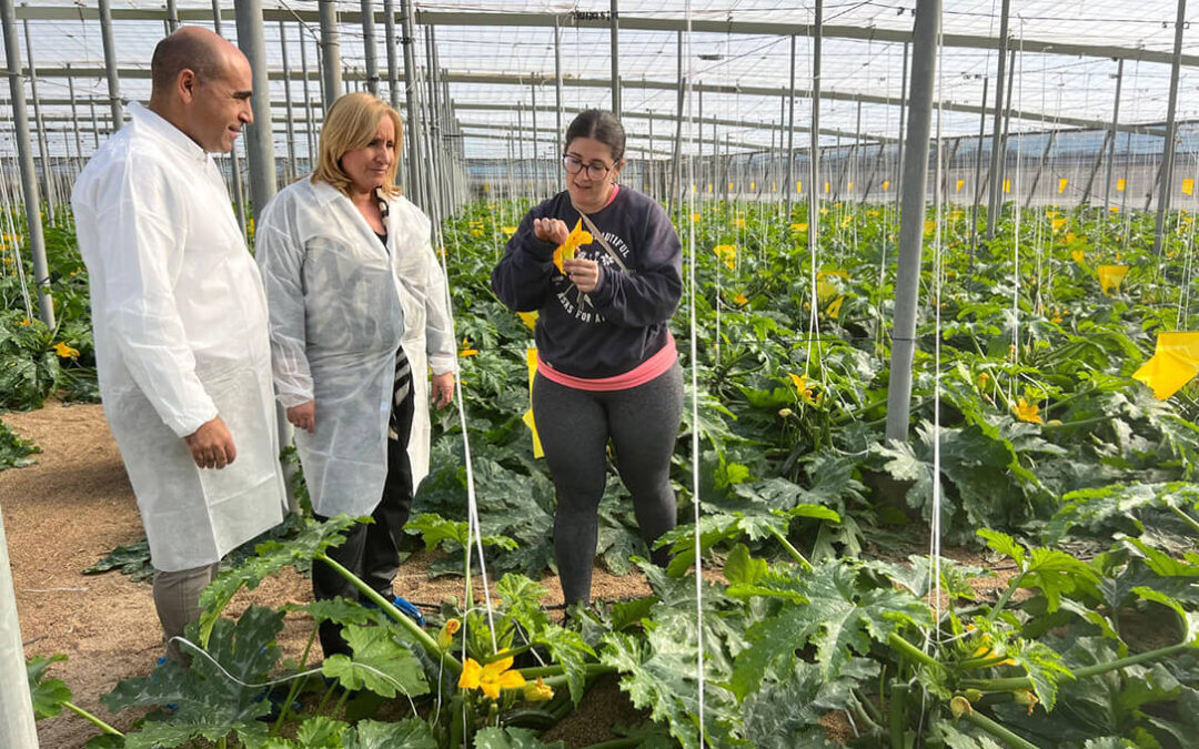 La Junta impulsa el relevo generacional en el campo andaluz con 130 millones de euros para jóvenes agricultores