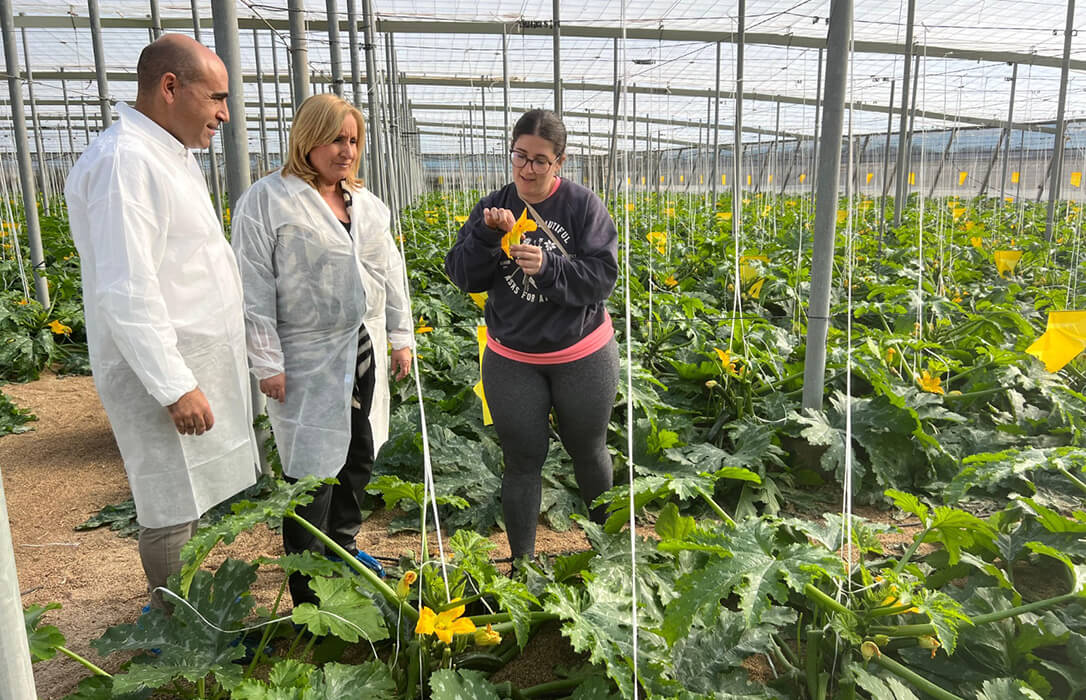 La Junta impulsa el relevo generacional en el campo andaluz con 130 millones de euros para jóvenes agricultores