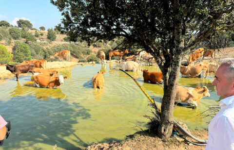 Castilla y León invierte 1,2 millones en la construcción de cuatro balsas de acumulación de agua invernal para abastecer al ganado en verano