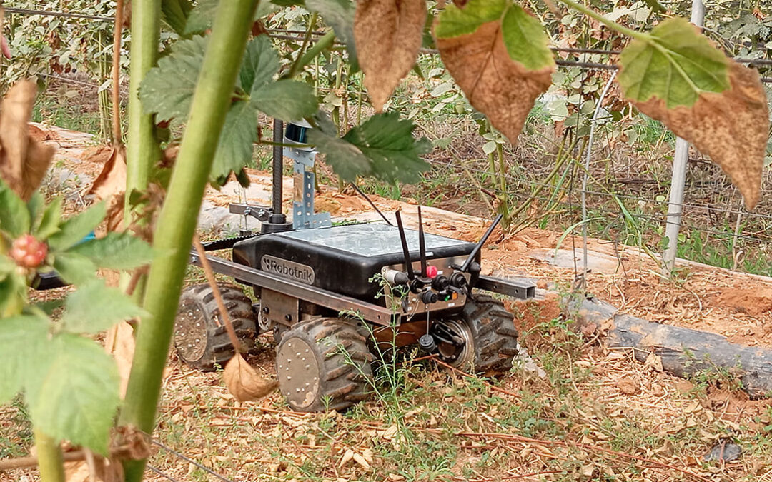 Ecovalia presenta Bioterrabot, un proyecto que fusiona tecnología y biodiversidad para transformar la agricultura ecológica en cultivos protegidos