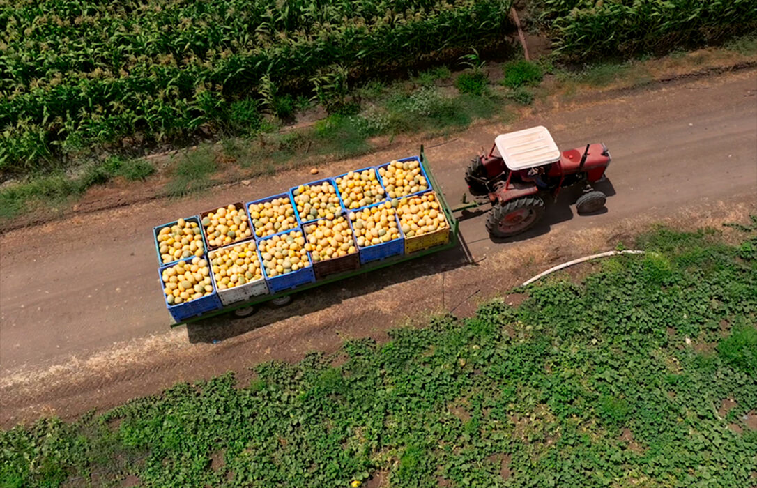 La Estrategia Nacional de Alimentación «es incompatible con el apoyo a acuerdos como Mercosur que destruyen la agricultura y ganadería local»