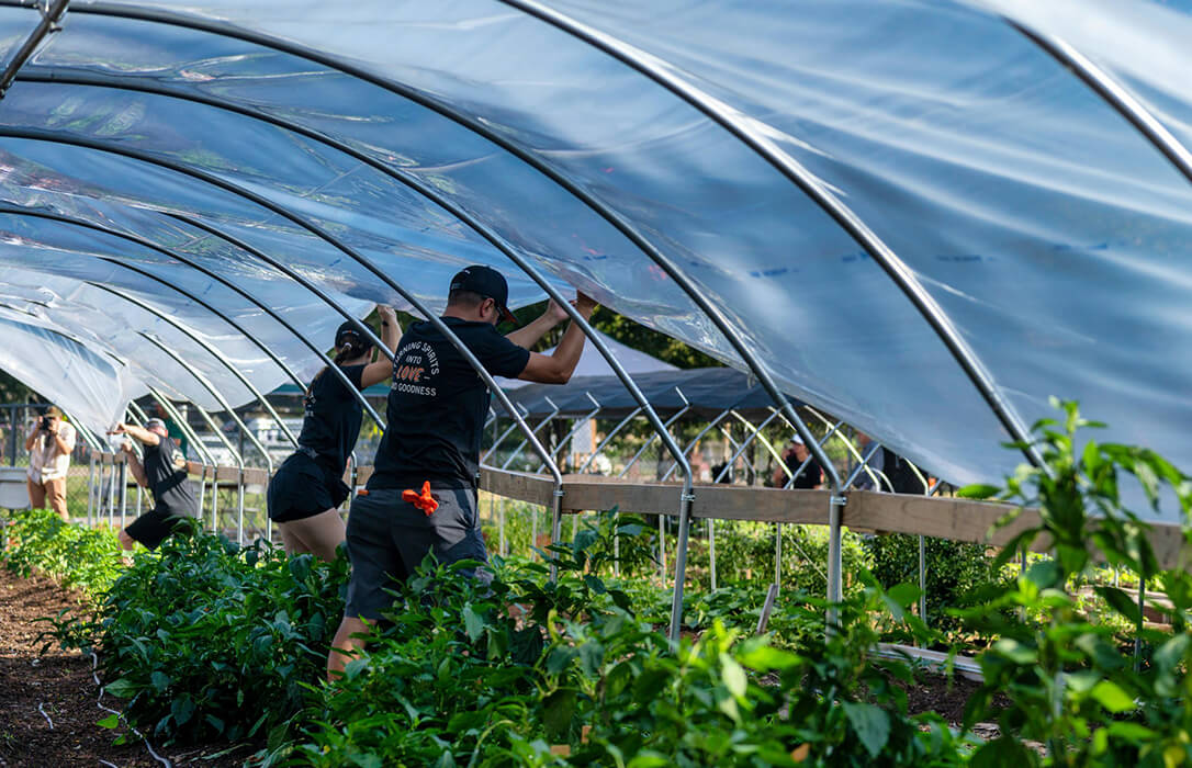 Un estudio vincula los efectos inmunotóxicos en los agricultores que trabajan en invernaderos con su exposición a pesticidas