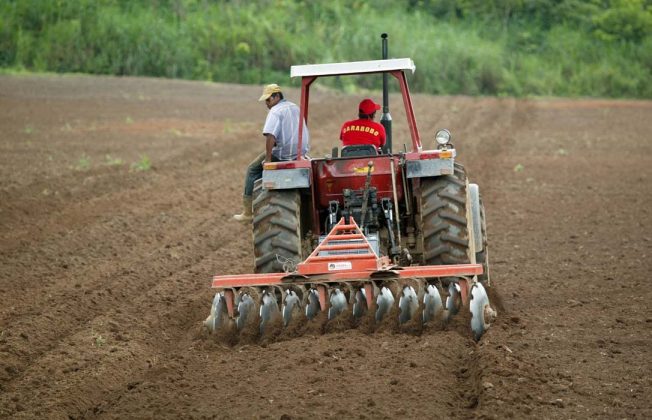 El Ministerio de Agricultura fija en 34.624,51 euros la nueva renta agraria de referencia que sirve de indicador para 2025