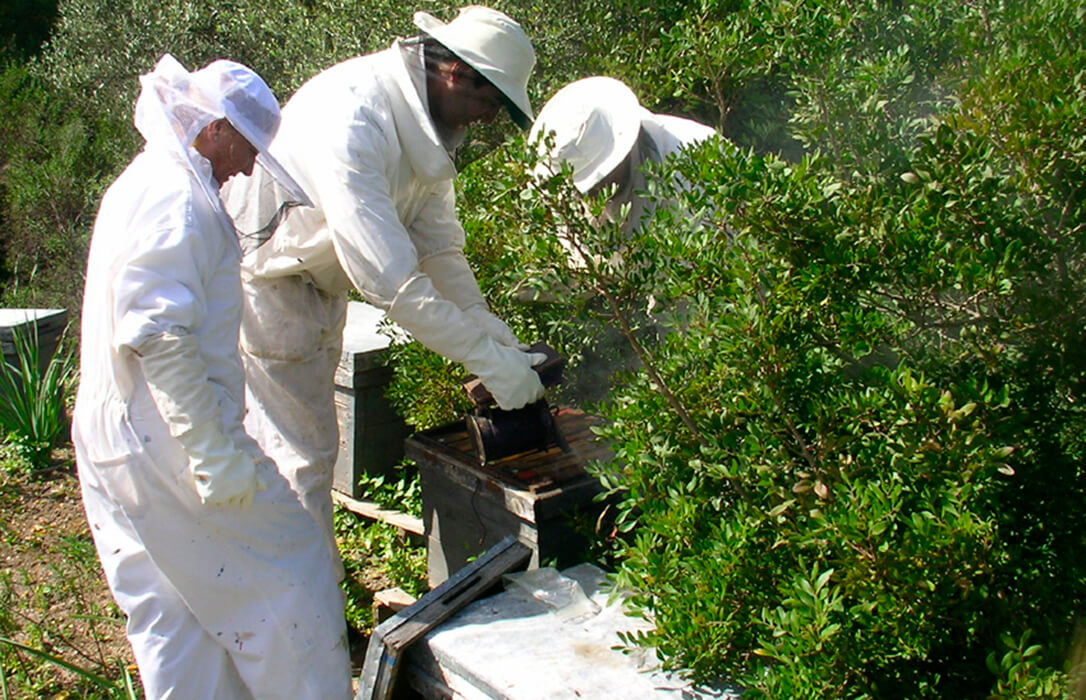 Andalucía respalda al campo con un aumento de fondos para las ayudas agroambientales que vienen a complementar las ayudas por sequía extrema