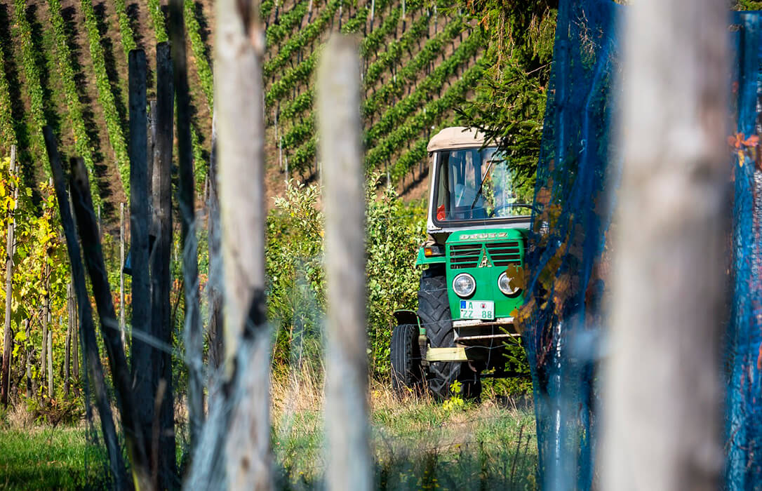 Balance del año agrario: califican el 2024 como un año decisivo para dar el paso hacia una política agraria justa