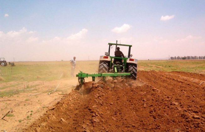 La renta agraria alcanza los 37.759 millones en 2024, el 14,2% más que el año anterior con la rama agraria registrando un valor récord