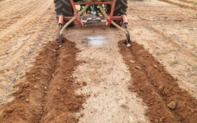 #SOS—Safeguard Our Soils, la plataforma sobre la importancia de la salud del suelo para la sostenibilidad agrícola y la seguridad alimentaria