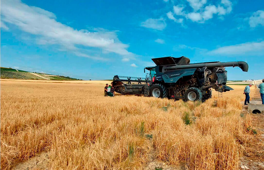 Balance del 2024: Un 6% de grandes empresas acabó absorbiendo la subida de la Renta Agraria durante el pasado año