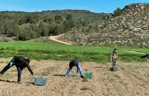 UPA no quiere hacer «la vista gorda ante las principales preocupaciones del sector sobre la divergencia de las normas de producción»