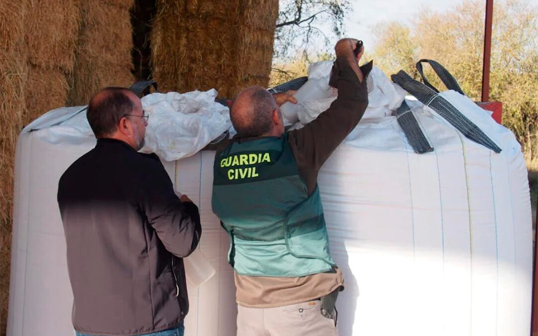 Un investigado en Valladolid por la venta ilegal de semillas de un tipo de trigo protegido por presunto delito contra la propiedad industrial