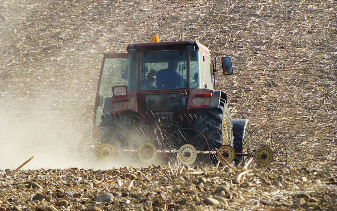 El Gobierno convoca la línea ICO-MAPA-SAECA para facilitar acceso a la financiación a jóvenes agricultores por 27 millones de euros