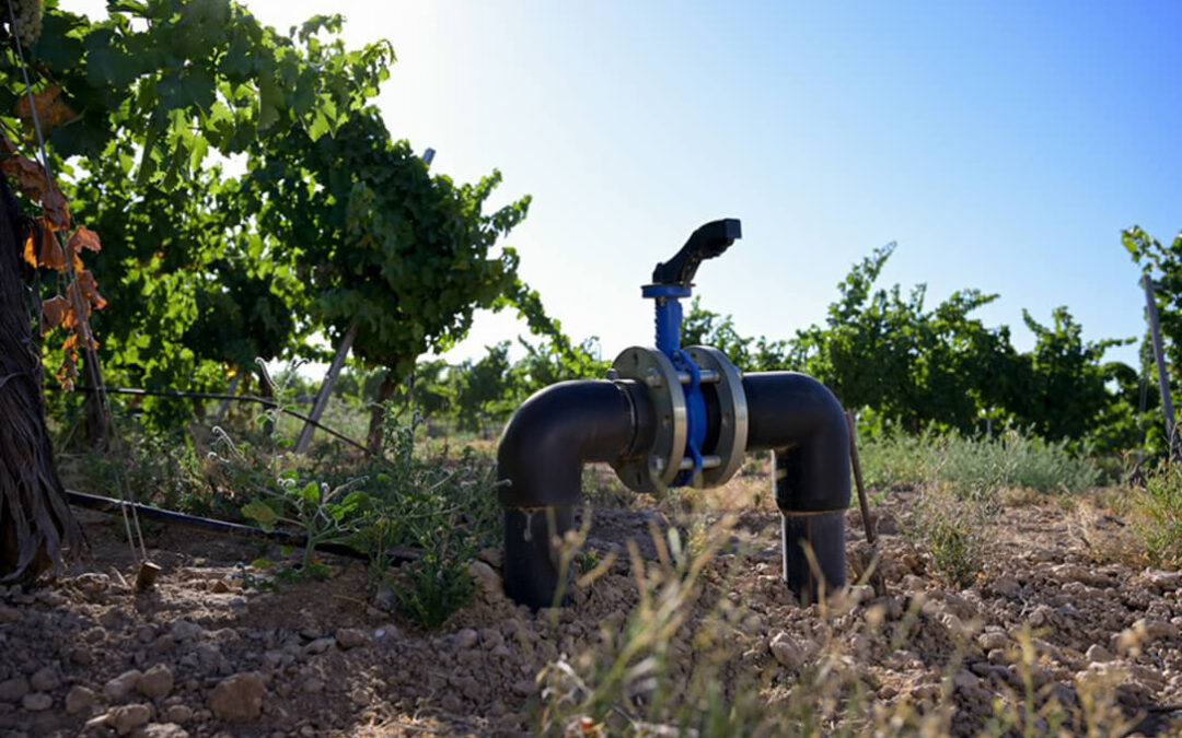 Los regantes estiman un ahorro del 10% de agua sin comprometer la producción por el uso de la inteligencia artificial en la agricultura