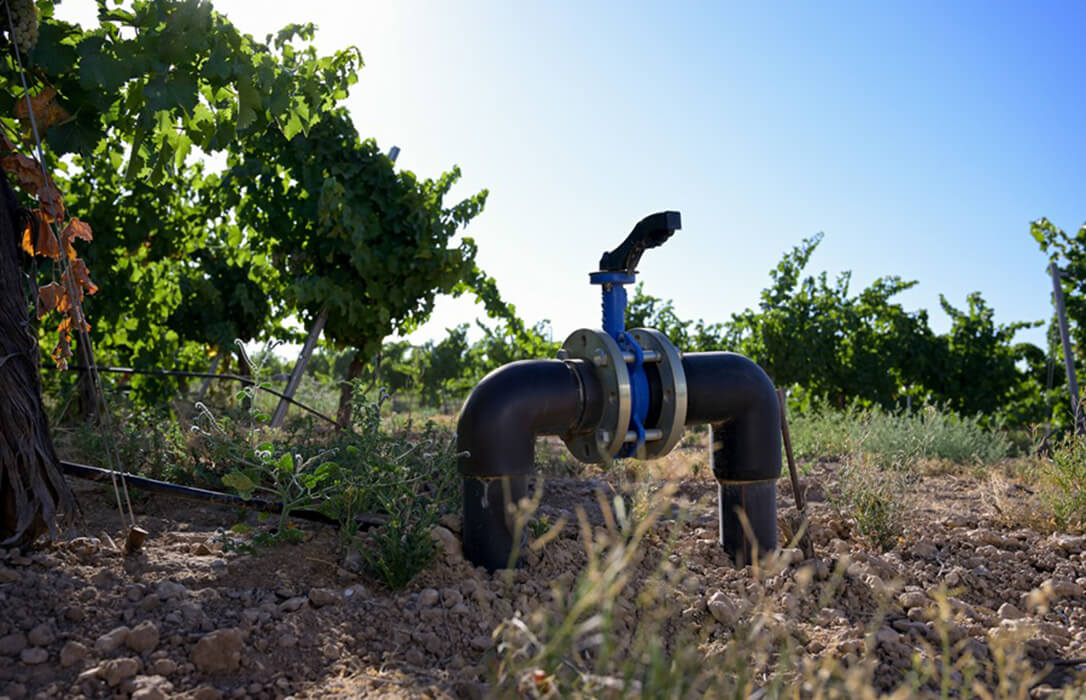 Los regantes estiman un ahorro del 10% de agua sin comprometer la producción por el uso de la inteligencia artificial en la agricultura