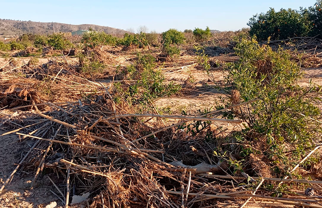 Se agradecen las ayudas pero recuerdan al Gobierno que las ayudas de la DANA dejan fuera a afectados sin ingresos agrarios en 2023