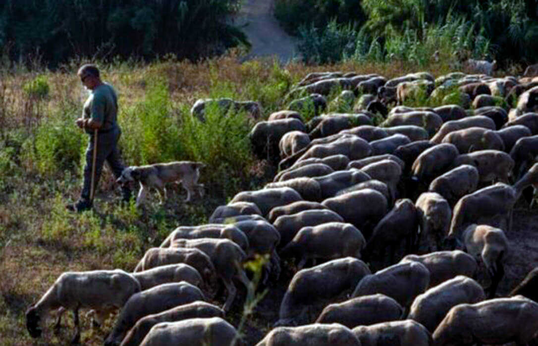 Un goteo constante que no cesa: el 80% de los autónomos que ha perdido la provincia de León en 2024 eran agricultores o ganaderos