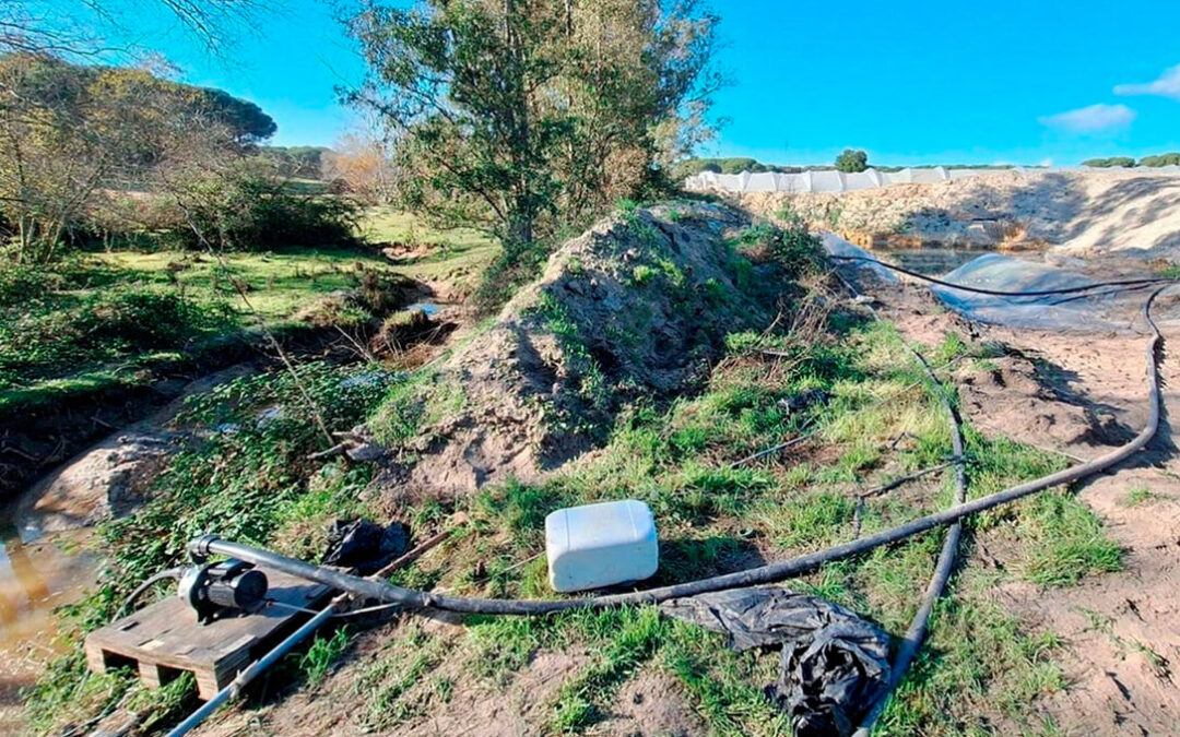 Expedientan a una finca por extracción ilegal de agua para regar fresas en Doñana tras una inspección en la zona