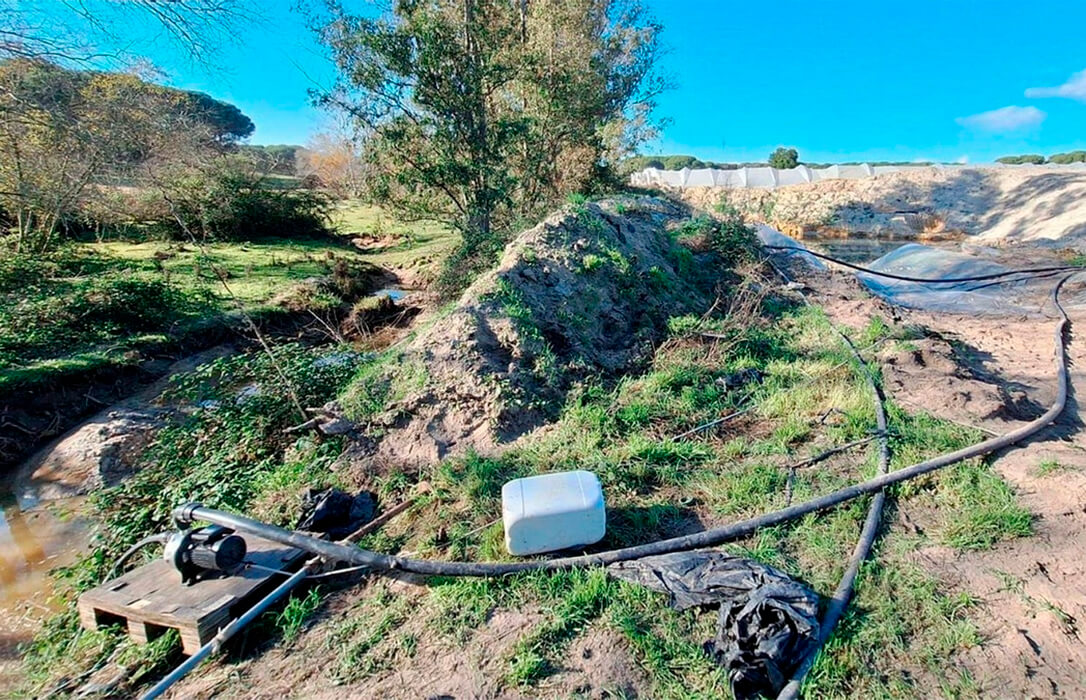 Expedientan a una finca por extracción ilegal de agua para regar fresas en Doñana tras una inspección en la zona