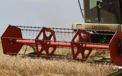 El Fondo Español de Garantía Agraria cumplirá este año 30 años de actividad al servicio de los agricultores