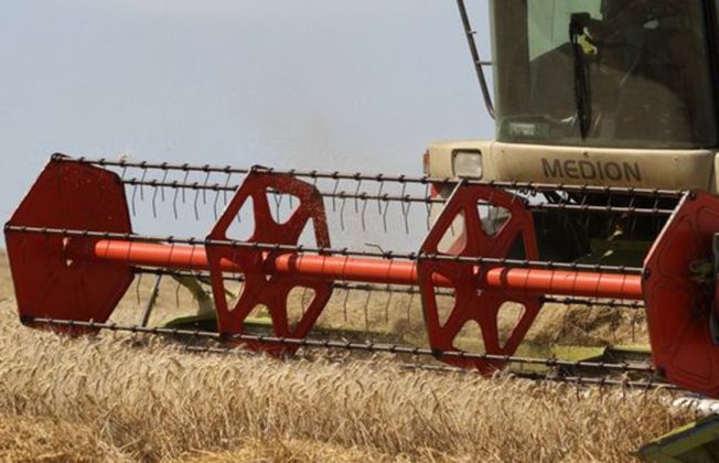 El Fondo Español de Garantía Agraria cumplirá este año 30 años de actividad al servicio de los agricultores