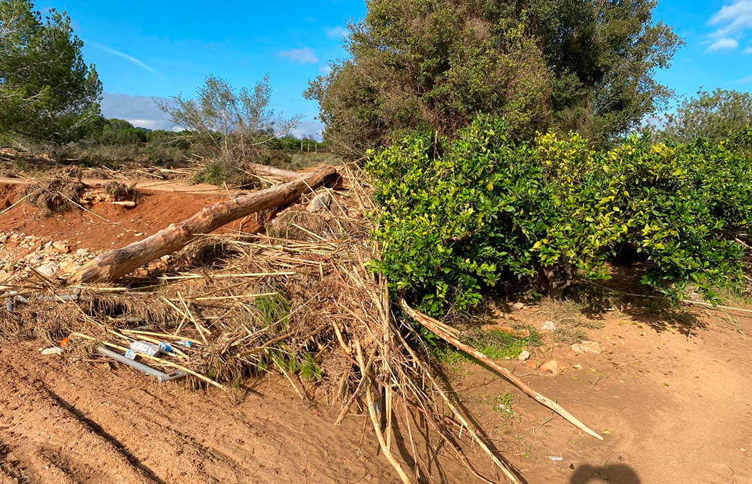 Convocada la línea ICO-MAPA-SAECA por 53,1 millones para facilitar el acceso a la financiación a explotaciones agrarias afectadas por la DANA