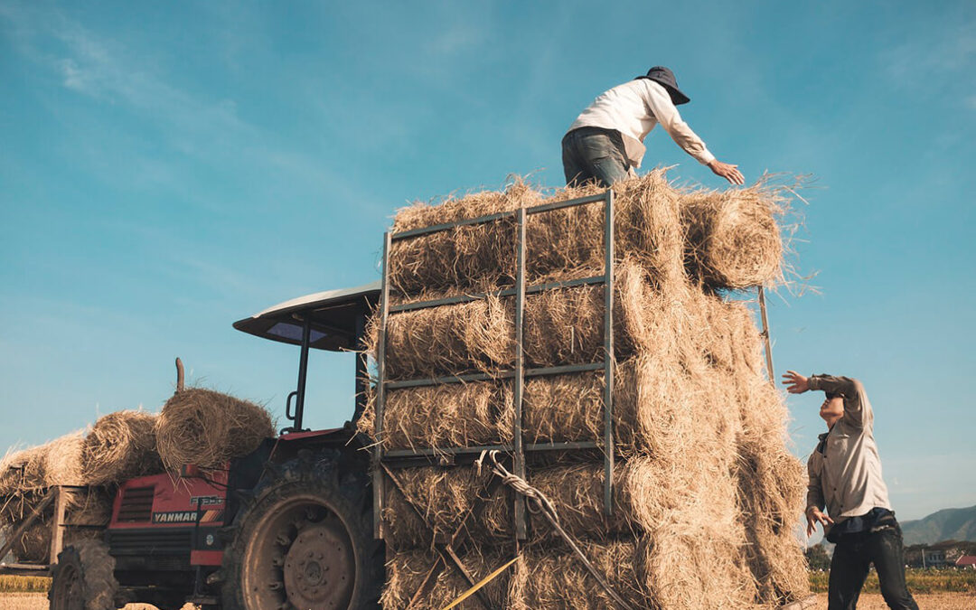 Advierten de que los autónomos agrarios verán reducidas sus prestaciones entre un 32 y un 44% con la nueva regularización de las bases de cotización