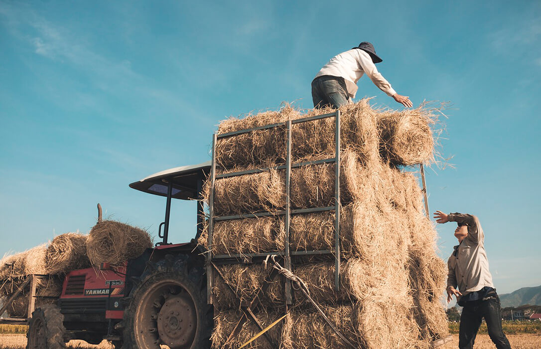 Advierten de que los autónomos agrarios verán reducidas sus prestaciones entre un 32 y un 44% con la nueva regularización de las bases de cotización