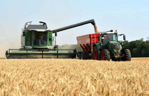 Subida de trigo y cebada en la lonja de León en un año en el que los agricultores cerealistas esperan que los precios se recuperen