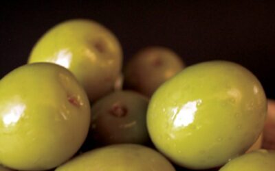 El Ministerio de Agricultura abre una consulta para adaptar diversas normas de calidad a la realidad productiva