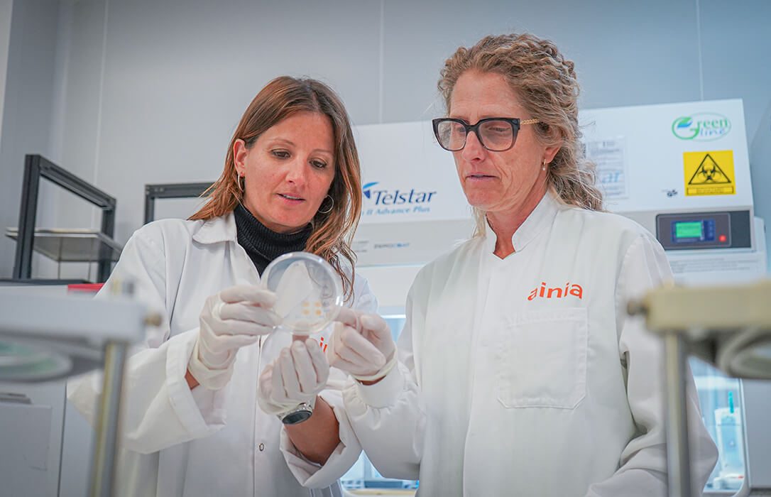 El proyecto ELDRIN explora nuevas tecnologías sostenibles para transformar biomasa vegetal en materiales sostenibles para la industria