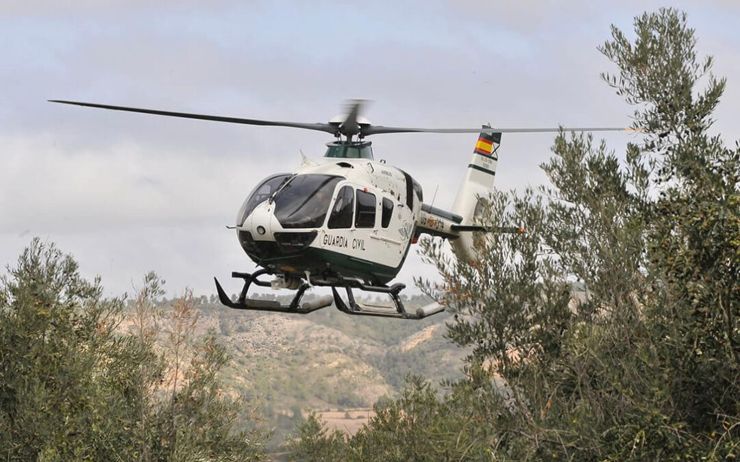 Cinco investigados por el robo de 1.500 kilos aceitunas en la Campiña de Córdoba localizados desde el servicio aéreo de la Guardia Civil