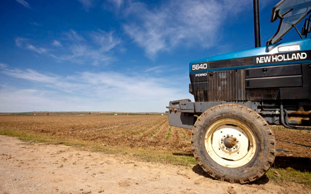 La ZEPA arrozales de Palazuelo y Guadaperales, en el ojo del huracán: piden que se anule y acusan de «miserables» a quienes denuncian a los agricultores