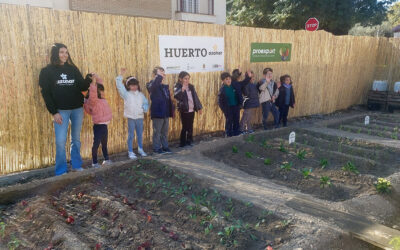 Un poco de la huerta en el centro de Murcia : Proexport y Azahar Tradiciones llevan esta realidad agraria a los escolares