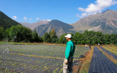 España vuelve a desbancar a Francia como primer país en superficie de producción ecológica de la Unión Europea