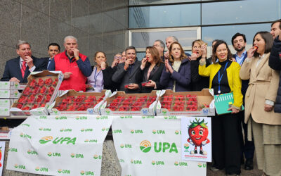 Llevan las fresas de Huelva al corazón de Europa para defender a los agricultores de Huelva ante los europarlamentarios