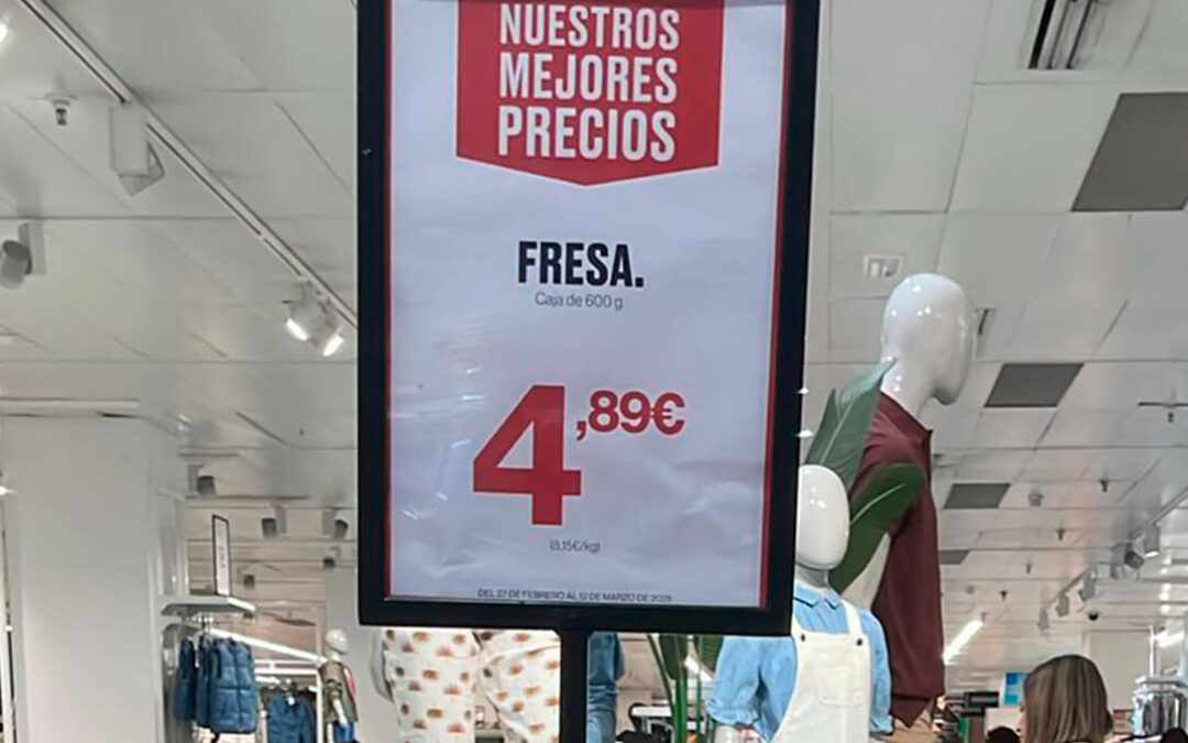 Primer denuncia por el abuso de la gran distribución al vender el kilo de fresas a más del triple de lo que cobran los agricultores en origen