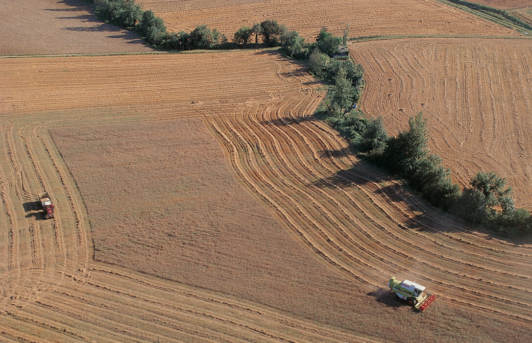 El Gobierno vasco finaliza en marzo el primer pago de la PAC 24, superando los 30,2 millones de euros en ayudas al sector agrario