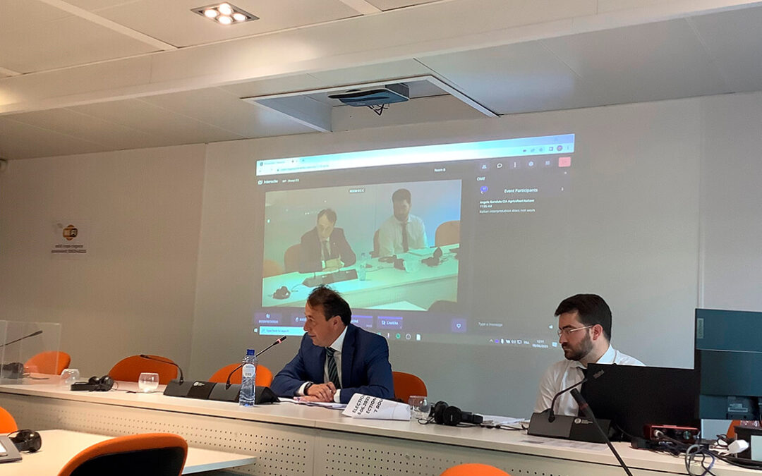 El español Raúl Muñiz es reelegido como presidente del Grupo de Trabajo Ovino y Caprino del Copa-Cogeca