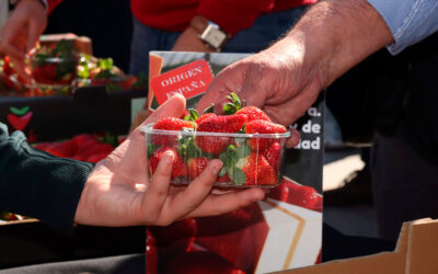 UPA arranca este jueves una nueva campaña #YoComoFresasdeHuelva con un reparto de fresas en la Puerta del Sol