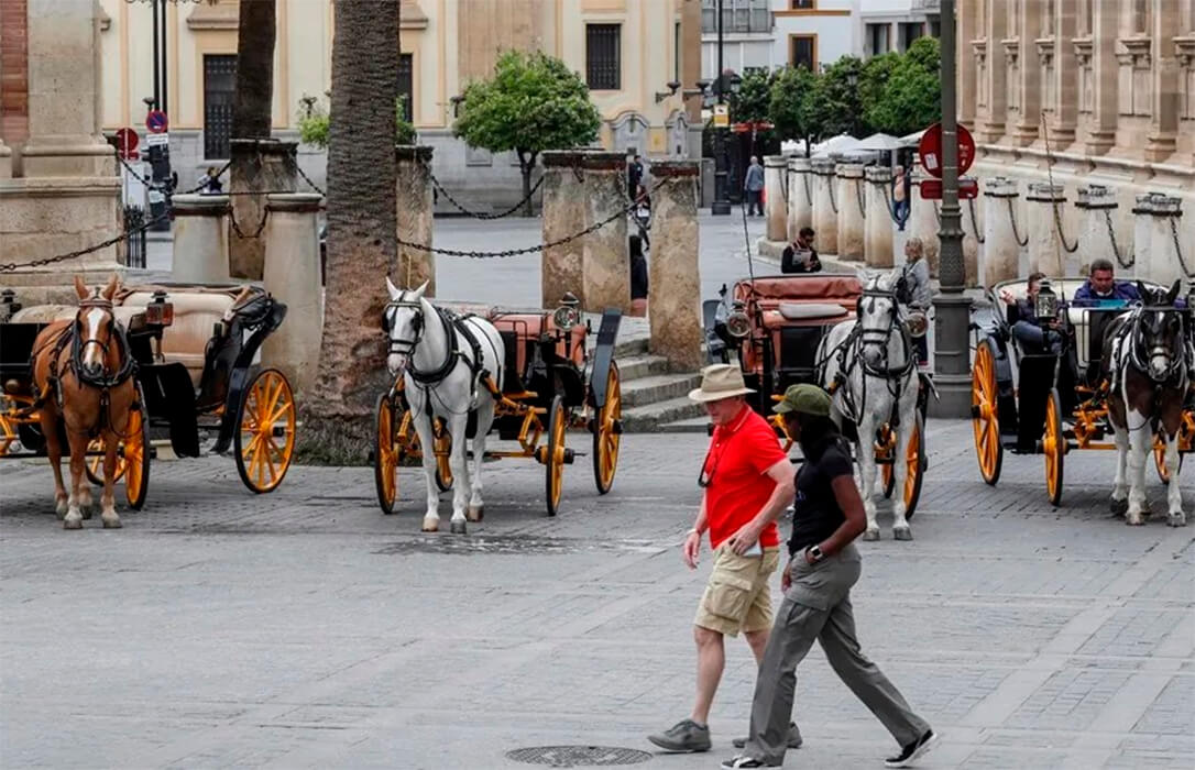 El Colegio de Veterinarios de Sevilla y el Ayuntamiento trabajan en la mejora del bienestar de los équidos de los coches de caballos