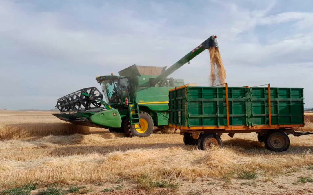 Exigen a Planas medidas urgentes ante la crisis de precios en los cereales, con unos precios de 192 euros por tonelada «inasumibles»