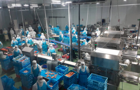 El Grupo Uvesa cambia totalmente de manos: la ucraniana MHP se queda con el 91,77% de la empresa avícola tras el Acuerdo de Compra de Acciones