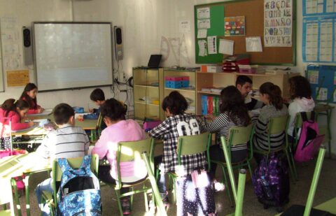 Iniciativa pionera en CyL: Plantean a la Consejería de Educación que incluya la asignatura de ‘Agricultura y Alimentación’ en los centros educativos